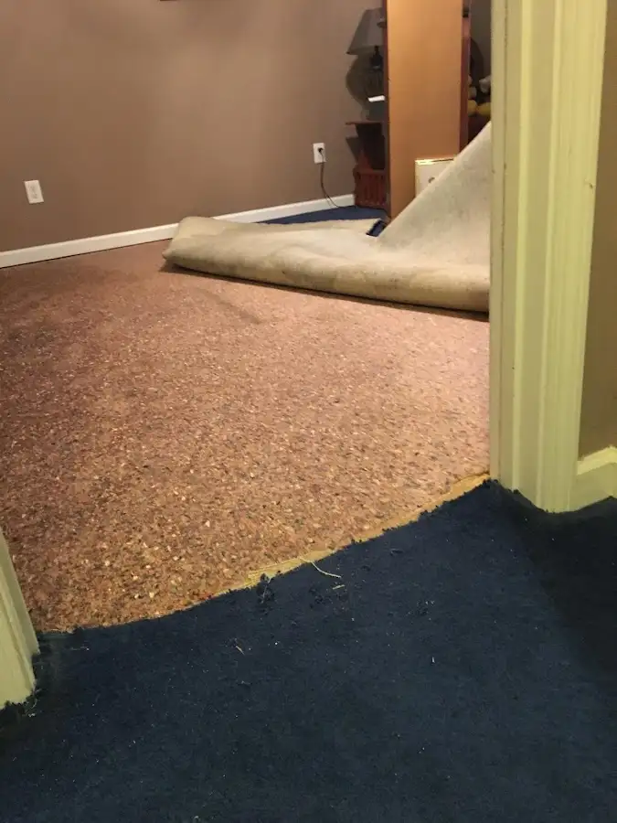 Carpet pad removal revealing water damage during Water Mitigation Services in Swarthmore