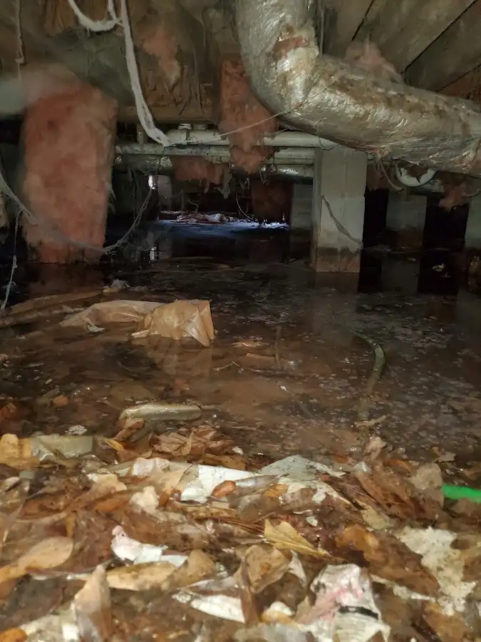 Crawl space flood assessment for Leak Detection & Repair in Swarthmore